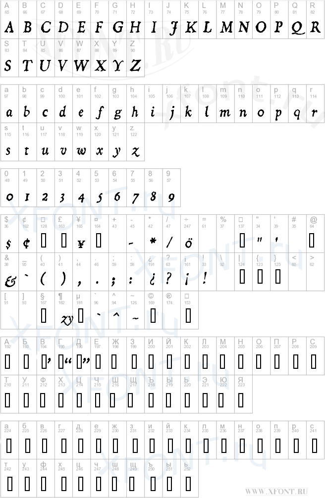 Dominican  Italic